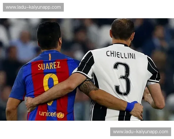 资讯巴西队：从绿茵焦点到球迷心声的全方位解读